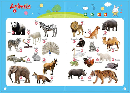 Kids Early Learning Audiobook